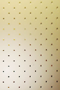 ������� ������